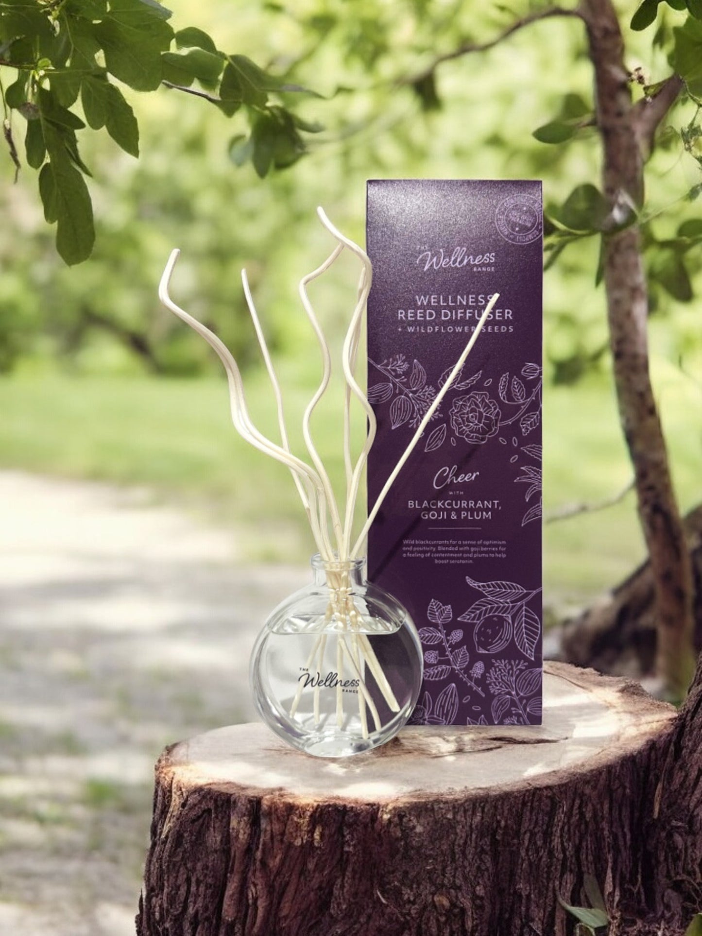 Cheer Blackcurrant, Goji & Plum Wellness Reed Diffuser